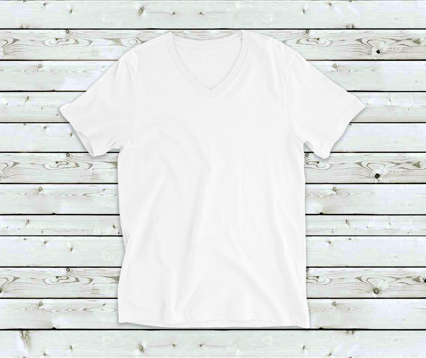 Bella Canva V-Neck Shirts